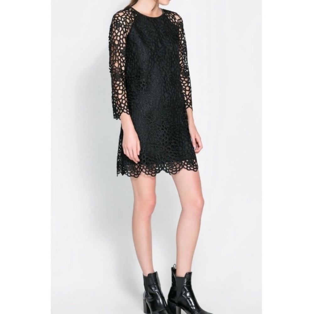 Zara black lace floral eyelet cutout shift dress